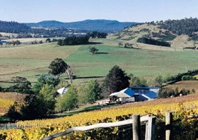 Freycinet Vineyards Pty Ltd - Attractions Perth 0