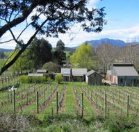 Wilmot Hills Vineyard - Attractions Perth