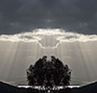 aart. Gallery of Fine Art - Attractions Perth