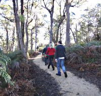 Bridport Walking Track - Attractions Perth
