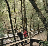 Franklin River Nature Trail - Attractions Perth
