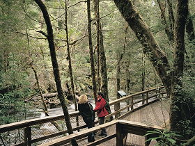 Franklin River Nature Trail - Attractions Perth 0