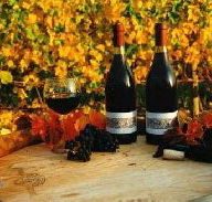 Craigow Vineyard - Attractions Perth