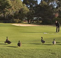 Royal Hobart Golf Club - Attractions Perth