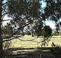 Cygnet Public Golf Course - Attractions Perth