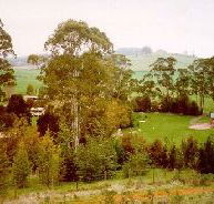 The Tasmanian Arboretum - Attractions Perth