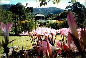Blueberry Cottage Open Gardens - Attractions Perth 0