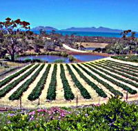 Kate's Berry Farm - Attractions Perth