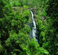 Kondalilla National Park - Attractions Perth