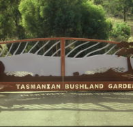 Tasmanian Bushland Garden - Attractions Perth