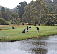 Penguin Golf Course - Attractions Perth