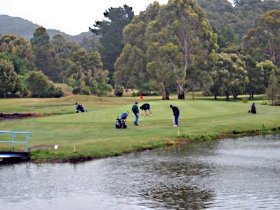 Penguin Golf Course - Attractions Perth 0