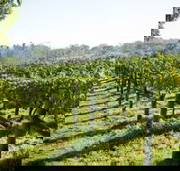 Surveyor's Hill Vineyards - Attractions Perth