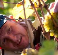Puddleduck Vineyard - Attractions Perth