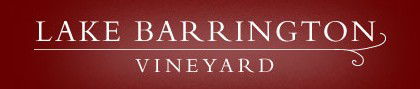 Lake Barrington Estate Vineyard - Attractions Perth 0