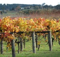 Apsley Gorge Vineyard - Attractions Perth