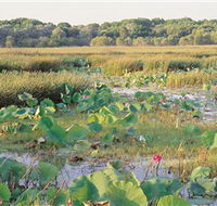 Fogg Dam Conservation Reserve - Attractions Perth