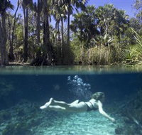 Bitter Springs - Attractions Perth