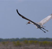 Gayngaru Wetlands Interpretive Walk - Attractions Perth