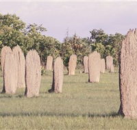 Magnetic Termite Mounds - Attractions Perth