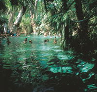 Mataranka Thermal Pool - Attractions Perth