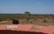 Bill Allen Lookout - thumb 0