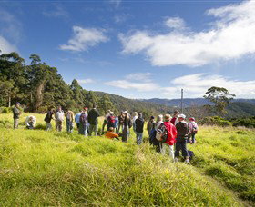Springbrook QLD Attractions Perth
