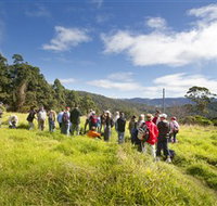 Apple Tree Park - Attractions Perth