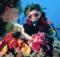 Nine Mile Reef Dive Site - Attractions Perth