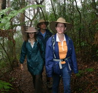 Mount Cougal Springbrook National Park - Attractions Perth