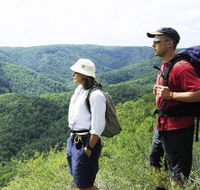 Sunshine Coast Hinterland Great Walk - Attractions Perth