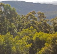 Conondale National Park - Attractions Perth