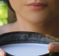 Ikatan Day Spa - Attractions Perth