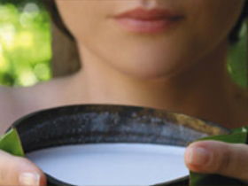 Ikatan Day Spa - Attractions Perth 0
