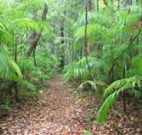 Delicia Road Conservation Park - Attractions Perth