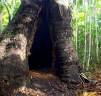 Tewantin National Park - Attractions Perth