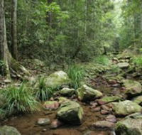 Amamoor State Forest - Attractions Perth