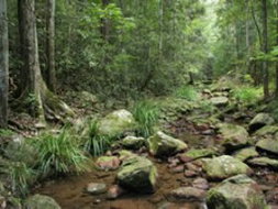 Book Amamoor QLD Attractions Attractions Perth Attractions Perth