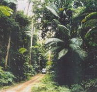 Conondale Great Walk - Attractions Perth
