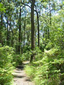 Mapleton Falls National Park - Attractions Perth 0