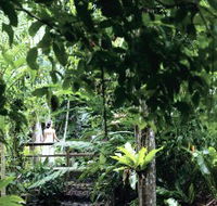 Flecker Botanic Gardens - Attractions Perth