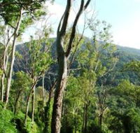 Smiths Track Barron Gorge National Park - Attractions Perth