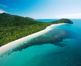 Cape Tribulation, Daintree National Park - Attractions Perth 0