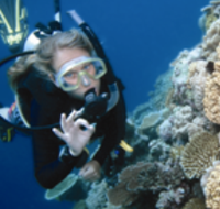 Moore Reef Dive Site - Attractions Perth