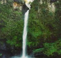 Nandroya Falls Circuit Track Wooroonooran National Park - Attractions Perth