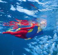 Great Detached Reef Dive Site - Attractions Perth