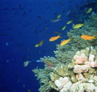 The Three Sisters Dive Site - Attractions Perth