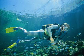Tijou Reef - Attractions Perth 0
