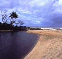 Russell River National Park - Attractions Perth