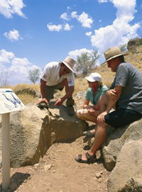 Riversleigh Fossil Fields